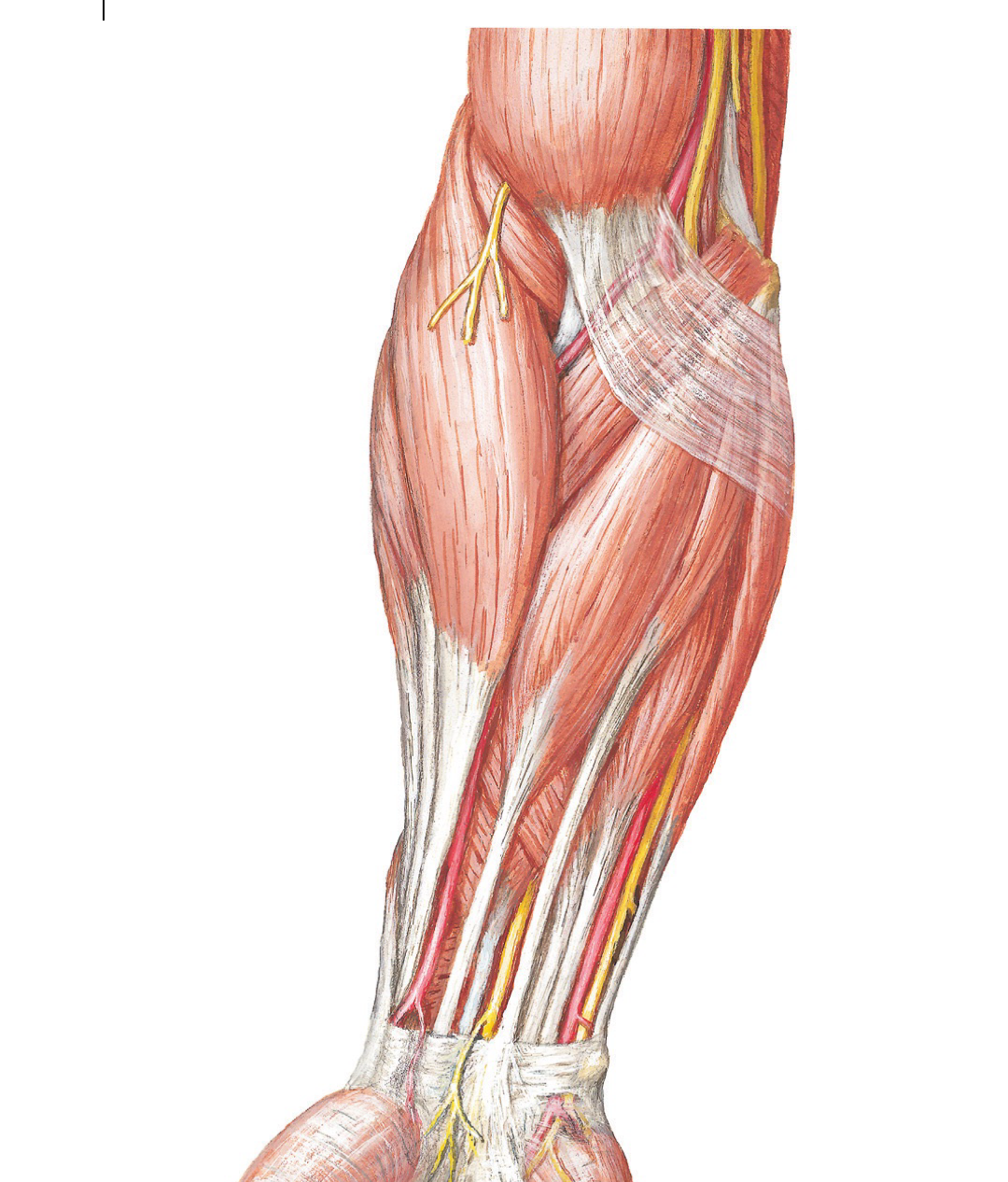 Screenshot 2026-01-14 at 10.43.02 AM